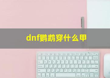 dnf鹦鹉穿什么甲