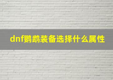 dnf鹦鹉装备选择什么属性