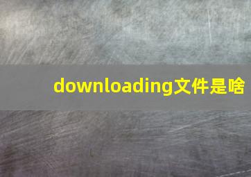 downloading文件是啥