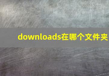 downloads在哪个文件夹