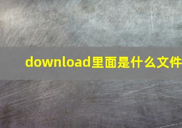 download里面是什么文件