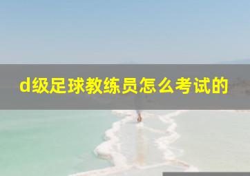 d级足球教练员怎么考试的