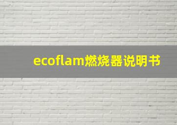 ecoflam燃烧器说明书