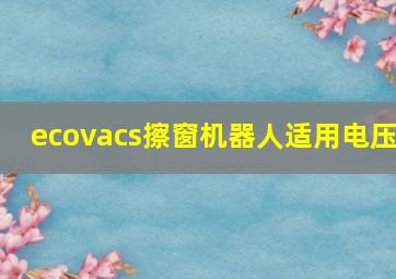 ecovacs擦窗机器人适用电压