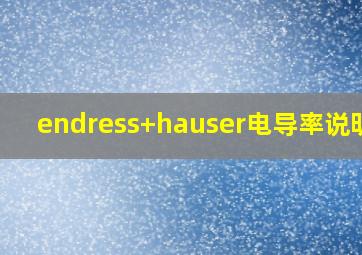 endress+hauser电导率说明书