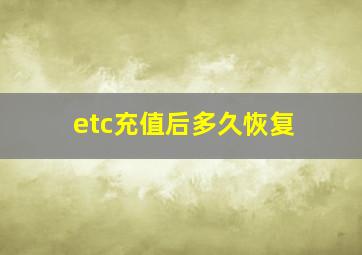 etc充值后多久恢复