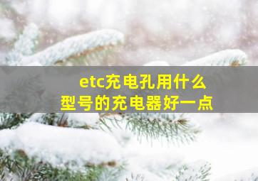 etc充电孔用什么型号的充电器好一点