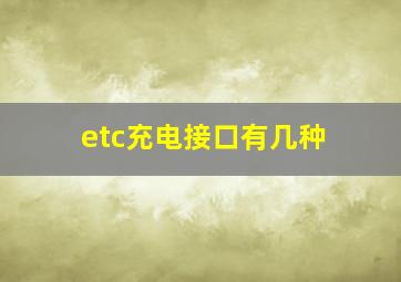 etc充电接口有几种