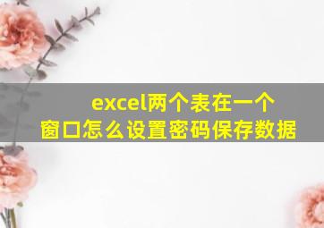 excel两个表在一个窗口怎么设置密码保存数据