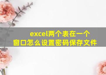 excel两个表在一个窗口怎么设置密码保存文件