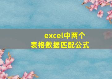 excel中两个表格数据匹配公式