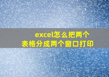 excel怎么把两个表格分成两个窗口打印