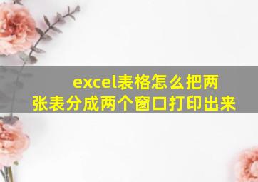 excel表格怎么把两张表分成两个窗口打印出来