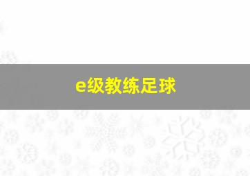 e级教练足球