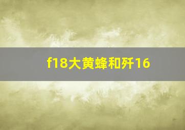 f18大黄蜂和歼16