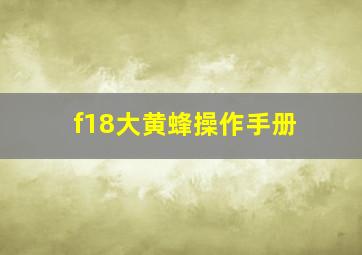 f18大黄蜂操作手册