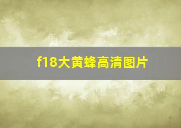 f18大黄蜂高清图片