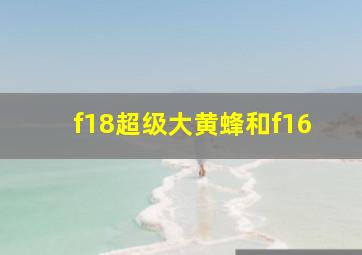 f18超级大黄蜂和f16