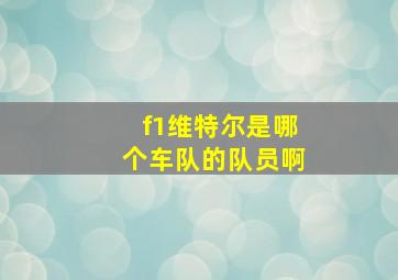 f1维特尔是哪个车队的队员啊