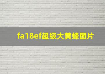 fa18ef超级大黄蜂图片