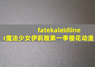 fatekaleidliner魔法少女伊莉雅第一季樱花动漫