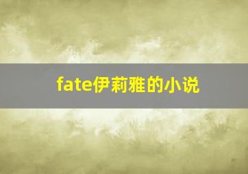 fate伊莉雅的小说