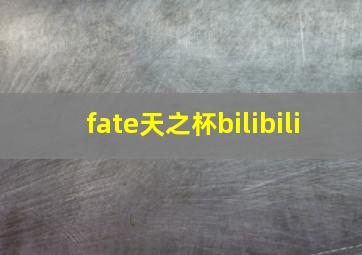 fate天之杯bilibili