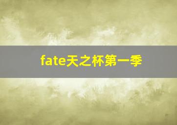 fate天之杯第一季