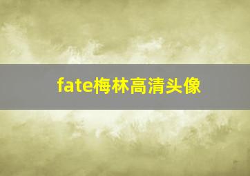 fate梅林高清头像