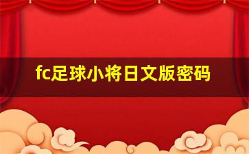 fc足球小将日文版密码