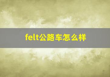 felt公路车怎么样