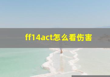 ff14act怎么看伤害