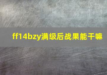 ff14bzy满级后战果能干嘛