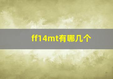 ff14mt有哪几个