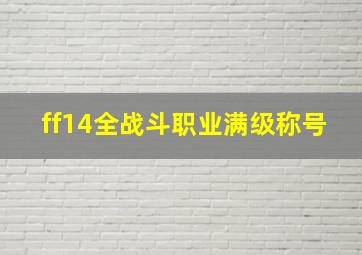 ff14全战斗职业满级称号