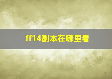 ff14副本在哪里看