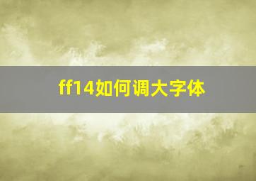 ff14如何调大字体