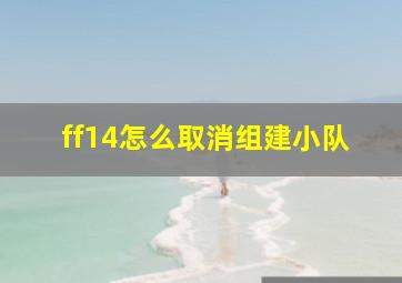 ff14怎么取消组建小队