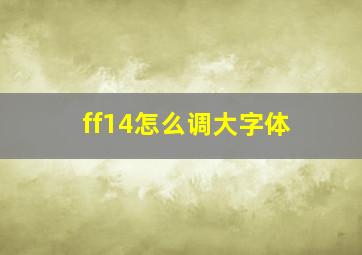 ff14怎么调大字体