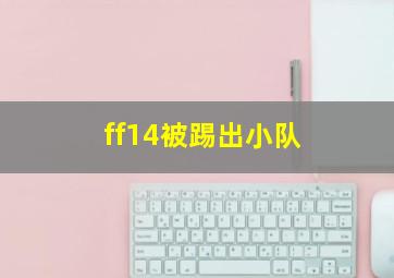 ff14被踢出小队