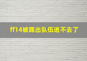 ff14被踢出队伍进不去了