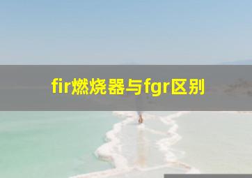 fir燃烧器与fgr区别