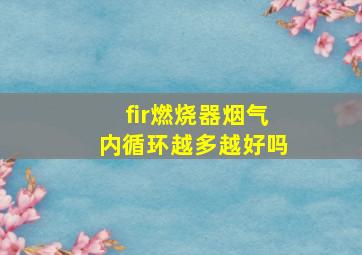 fir燃烧器烟气内循环越多越好吗