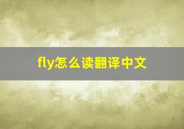 fly怎么读翻译中文