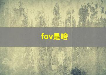 fov是啥