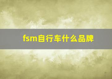 fsm自行车什么品牌