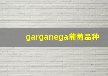 garganega葡萄品种