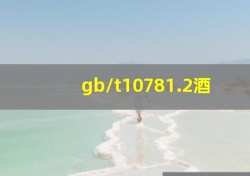 gb/t10781.2酒