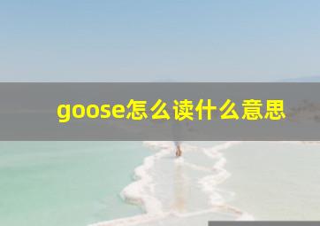 goose怎么读什么意思