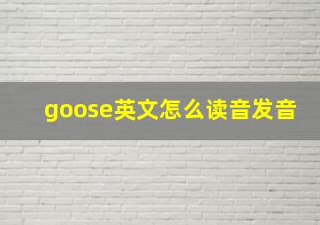 goose英文怎么读音发音